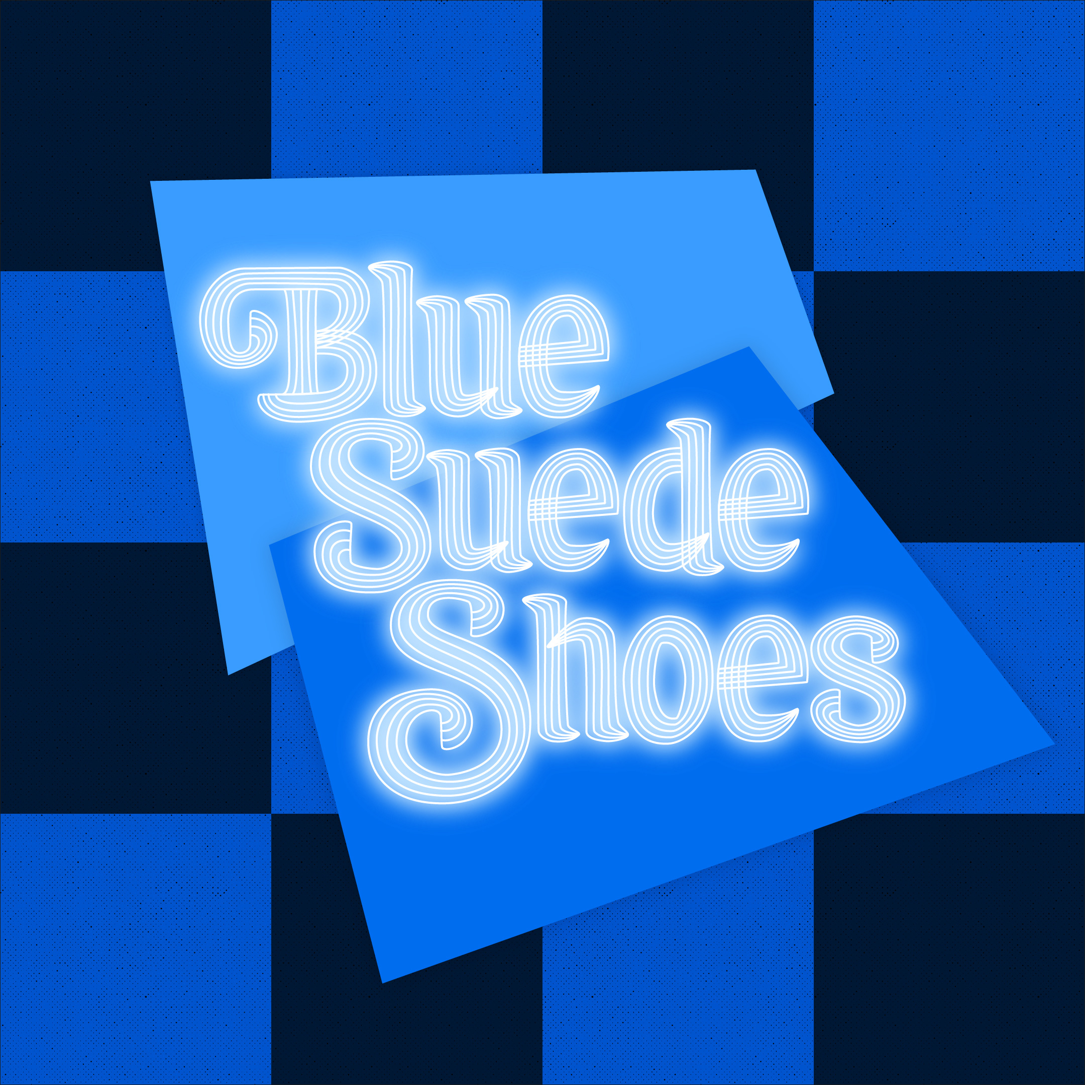 Blue Sudede Shoes